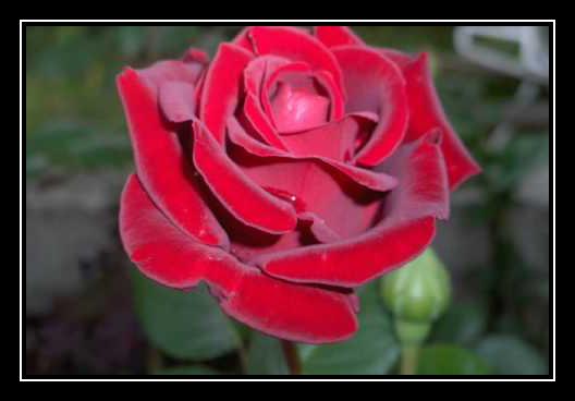 More Ringtone Download Free More Ringtone Download Free