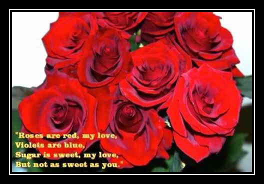 Long As The Rose Is Red Ringtone Download Free Long As The Rose Is Red Ringtone Download Free