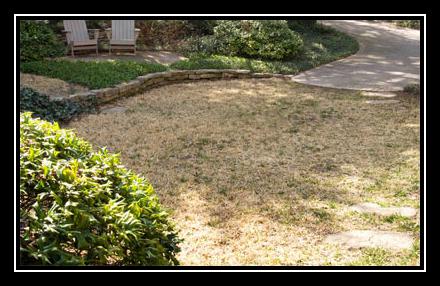 Green Grass Of Texas Ringtone Download Free Green Grass Of Texas Ringtone Download Free