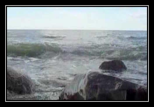 The Enchanted Sea Ringtone Download Free The Enchanted Sea Ringtone Download Free