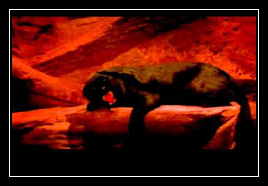 Cat People Ringtone Download Free Cat People Ringtone Download Free