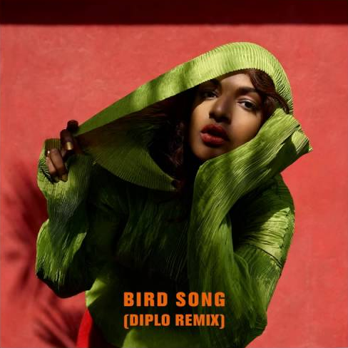 Bird Song Ringtone Download Free Bird Song Ringtone Download Free